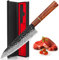 BILLION DUO Professional Kitchen Knife, Sharp Damacus Chef Knife, Damacus Steel Blade, Rosewood Handle, Chopping Cooking Knife for Meat, Fruits, Vegetables, Gift Box