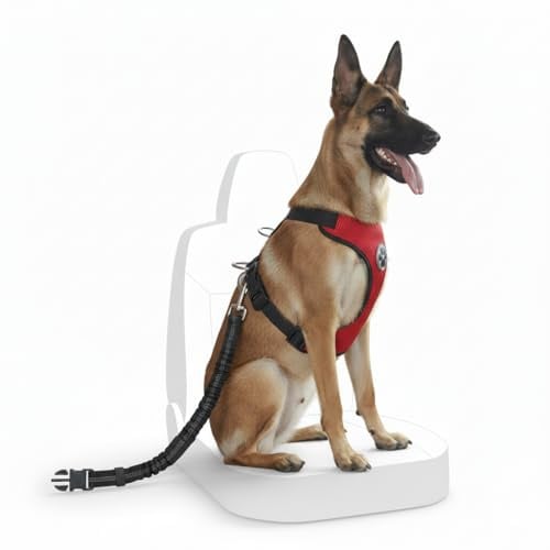 Arnes Perro Mediano, arnés Pecho antitiroes lineas Reflectantes, arnes antitirones, arnes Coche Perro homologado, Arnés Perro CINTURÓN Incluido, Chaleco Acolchado Ajustable, Chaleco para Perros