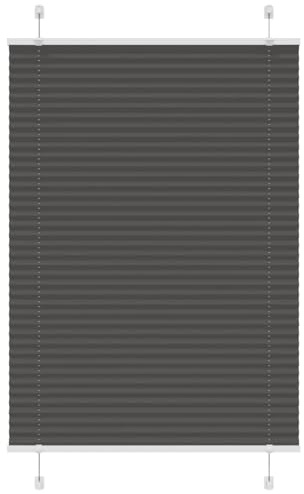 vidaXL Pleated Blind Black 95x100 cm Fabric Width 94.4 cm Polyester, pleated window shade, pleated shade, concertina blind, plisse blind