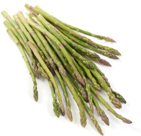 Grüne Spargel Pflanzen - 5 frigo A+ Echte Pflanzen aus Holland - Winterhart und Mehrjährig Gemüse - für Garten und Hochbeet (keine Samen, keine Zwiebeln und nicht künstlich)
