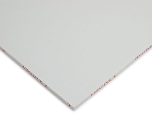 Hygienic and Moisture Resistant White Vinyl Faced 600mm * 600mm Suspended Ceiling Tile (Box of 10)