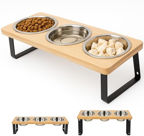 3 Cat Bowls with Stand - Adjustable Height Elevated Feeder for Cats & Small Dogs, Stainless Steel Raised Bowls, Anti-Vomit & Anti-Slip Tilted Design, Slow Feeding Pet Food & Water Station