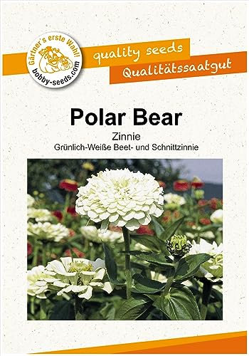 Blumensamen Polar Bear Zinnie Portion