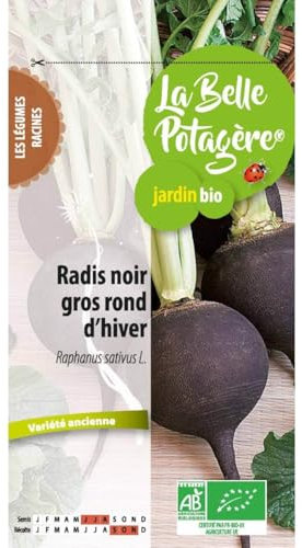 Ecodis - Radis Noir Gros Rond d'hiver 4 g