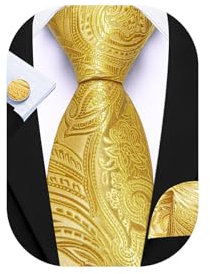 Barry.Wang Men's Paisley Tie Gold Silk Necktie Pocket Square Cufflinks Set Wedding Party