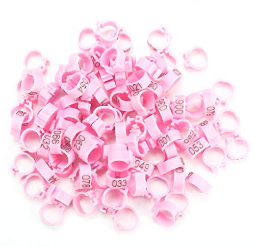 Cyrank 100 Stück/Beutel Taubenringe, 8 mm 001–100 nummerierte Kunststoff-Brieftauben-Vogel-Beinbänder(Rosa)