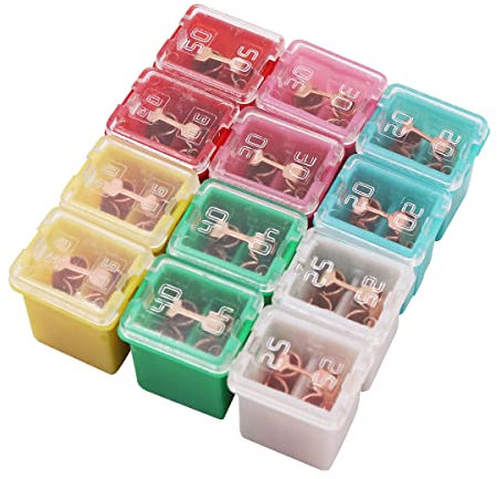 VOANZO 12PCS Car Fuse Box Car Fuses Assorted 20A/25A/30A/40A/50A/60A for Trucks Cars and SUV Boat
