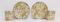 Rainbow Decors William Morris Golden Lily Set of 2 Espresso Cups 100 ml 3.5fl oz Saucers Fine Bone China Set Arts Crafts Nouveau Floral Lilies Hand Decorated UK