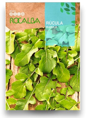 Semillas Rúcula | Sobre 6 Gramos | Rúcula muy sabrosa y de hojas redondeadas para disfrutar de los mejores platos | Sabor muy bueno | Rocalba