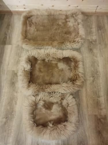 Provellus ECHT SCHAFFELL HUNDEBETT KATZENBETT Merino Fell SUPER KUSCHELIG WARM UND WEICH (Hellbraun, L - 75 x 50 cm)