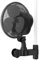 Growsters Grow Ventilator mit Clip 150mm oszillierend 20W IP-44 Schutzart Lüfter für Growzelt