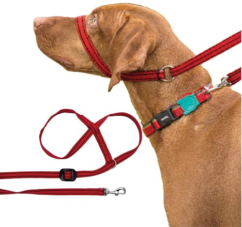 Gencon - Clip-to-Collar Dog Headcollar and Lead - Trainer Approved - One Size Dog Training & Behaviour Aid - Soft & Gentle Design with Trigger Clip - Right - Made in Britain - Red/Black