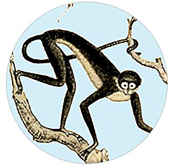 Elegante Dschungel TapeteMonkey mit Papageien und Affen im Urwald - Vliestapete Retro Tiere - klassisch hellblaue Vintage Wandtapete für beeindruckende Wohnakzente (Höhe 3m Breite 46,5cm)