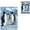 3D LiveLife Linsenförmige Wandkunst Drucke - Antarktis-Majestät von Deluxebase. Ungerahmtes 3D Pinguin Poster. Perfekter Wandfüller. Original kunstwerk lizenziert von bekannt künstler, Robert Hautman