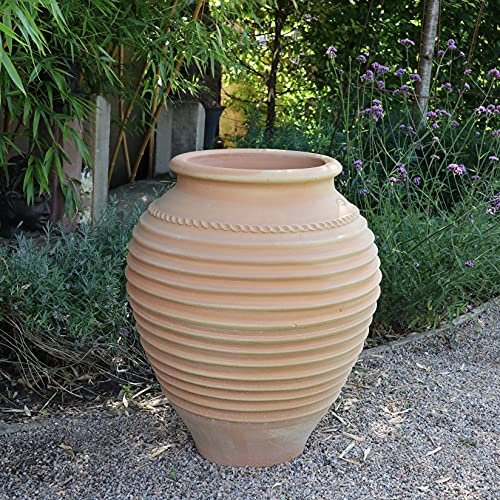 Palatina Ceramica | Amphore in terracotta fatta a mano | Resistente al gelo e di alta qualità | Amphore da giardino Ficus disponibile in sei misure (80 cm)