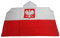 AZ FLAG Drapeau Pologne avec Aigle 150x90 cm - Cape Drapeau Polonais 100% Polyester Avec Manches Intégrées - Body Flag 80g