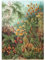 MyPuzzle Moss (Muscinae) - Kunstformen in der Natur, Vintage Art Poster, Ernst Haeckel - Premium 1000 Teile Puzzle - MyPuzzle Sonderkollektion von Havana Puzzle Company
