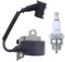 ADEFOL Zündspule mit Zündkerze für STIHL 024 026 028 029 034 036 038 FS360 MS240 MS260 MS290 MS310 MS340 MS360 MS380 MS381 MS390 MS440 MS640 Kettensäge Zubehör Ersatzteile