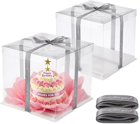 LCXCXY 2 Cake Box von 26x26x25 cm,Geschenkbox Durchsichtig.Tortenbox mit Boden und Band, doppelschichtige Kuchen Transportbox, Must-Have Durchsichtige Geschenkbox für Geburtstags und Hochzeitsfeiern