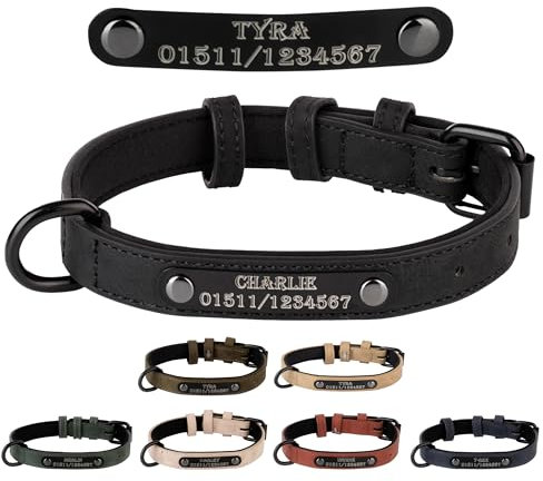 Jacks O Be Hundehalsband Halsband Name Gravur personalisiert Haustier Hund Katze Leder (Schwarz, L)