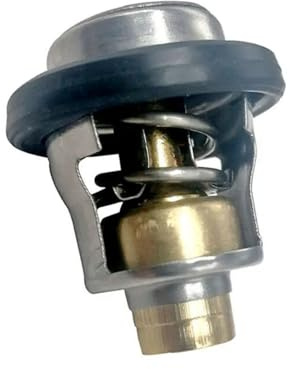 OEJPEWM 72° Thermostat 17670-87J00 for Suzuki 4-Takt DF 40 50 60 70 PS Außenbordmotor 17670-87J01 Ersetzt Johnson Evinrude 5031762 0769639