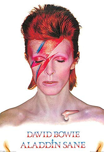 Close Up David Bowie Poster Aladdin Sane (61cm x 91,5cm) + Geschenkverpackung. Verschenkfertig!