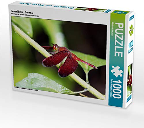 CALVENDO Puzzle Feuerlibelle, Borneo | 1000 Teile Lege-Größe 64 x 48 cm Foto-Puzzle für glückliche Stunden