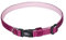 Nobby Halsband Classic Preno Mini, himbeere, L: 20-35 cm, B: 10 mm, 1 Stück