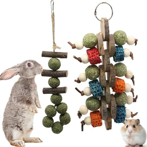 RunFar shop Kaninchen Spielzeug Hamster beschäftigung Kauspielzeug, Hasen zubehör Grasstab, süßer Bambus-Apfelzweig, Backenzahn-Stick, Grasball, Luffa-Apfel-Holzspieß 2pcs