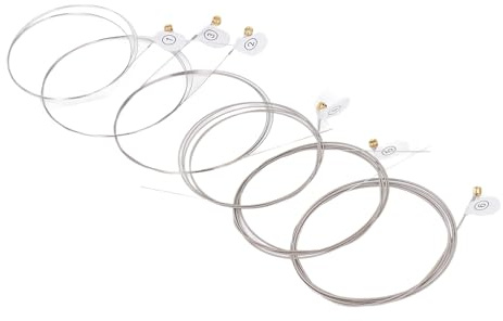 E-Gitarren Saiten Ersatz Robuste Ni Wunde mit Hex High Carbon Steel Kerne Pack von 6PCS für das Üben von Performing und Recording (EH09)