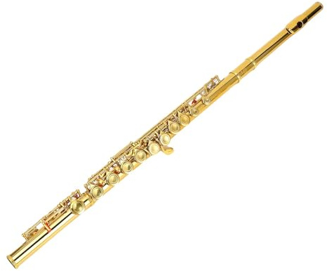 CHICIRIS 16-köpfige Cupronickel-Flöte, Gold-C-Flöte mit Geteiltem Schlüssel, Offset G für Schüler und Anfänger, Komplettes Flötenset, Ideal für Schulbänder, Orchesterproben und Aufführungen,