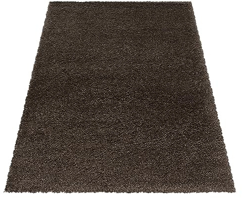 KADIMA DESIGN Teppich Hochflor Unifarben Elegant Kuschelig Weich Waschbar Strapazierfähig Langlebig 50mm Flor Braun 280x370 cm Schlafzimmer Schnelltrocknend | SALZACH