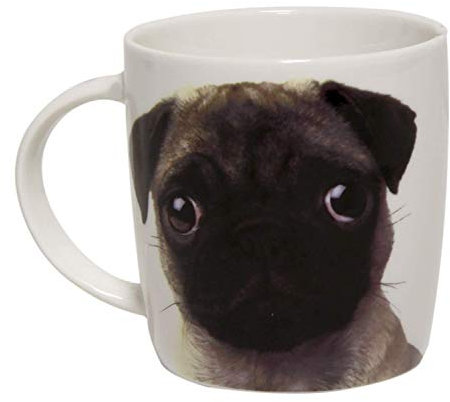 Best Of Breed Tazza All You Need Is Love e un Carlino con Grazioso Carlino Modello BB187