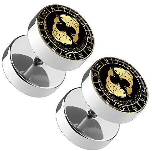 Piercingfaktor 1 Paar Fake Piercing Runde Ohrringe Ohrstecker Ohr Plug Flesh Tunnel mit Sternzeichen Motiv Tierkreiszeichen Fische