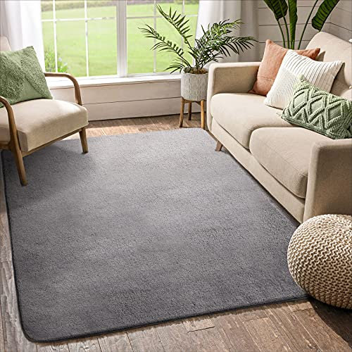 Color G Teppich Läufer, 90 x 160 cm Weich Teppiche für Schlafzimmer Bettvorleger Esszimmer, Teppiche Wohnzimmer Bodenmatte rutschfeste Unterseite (Hellgrau)