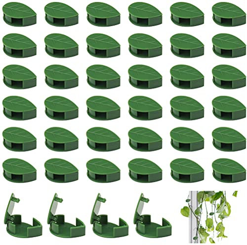 Yafe 40Pcs Plant Clips for Climbing Plants, Self-Adhesive Plant Wall Plant Hooks Fixer Clips Green Plastic Vines Holder for Home Decoration or Wire Cable Organizer(Green)