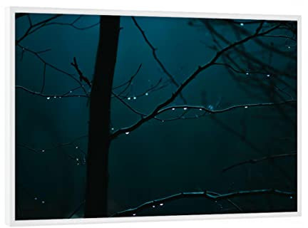 artboxONE Poster mit weißem Rahmen 18x13 cm Natur Regentropfen an Ästen - Bild Regen bäume draußen