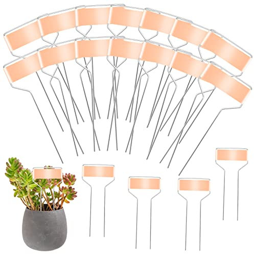 SAVITA 20pcs Metal Plant Tags, 6inch Plant Label Stakes Metal Copper Vegetable Garden Markers Weatherproof Plant Signs for Potted Plants Herbs Flowers Vegetables Outdoor & Indoor