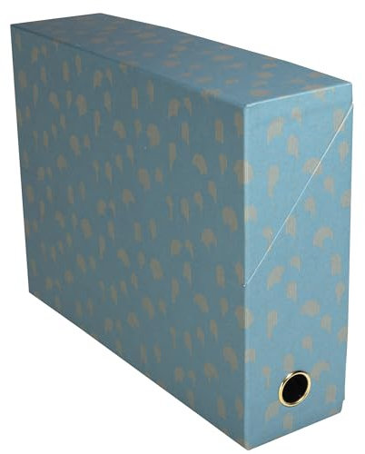 EXACOMPTA - Ref. 89450E – Karton mit 5 Neo Déco Transferboxen – Rücken 90 mm – goldfarbene Grifföse – Maße 25,5 x 9 x 34 cm – mit selbstklebendem Etikett – verschiedene Farben – fertig montiert