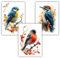 Samunshi® 3x Kunstdruck Vogel Poster Set mit Blaumeise Dompfaff Buntspecht Bilder für Jugendzimmer Deko Geschenk DIN A4 21x29,7cm
