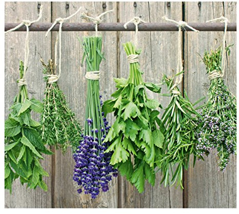 Zeller Herbs Splash Guard/Stove Top Cover, Multi-Colour