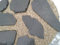 Teichbauzentrum Sankt Julian Schieferplatten Natur 20 Stück 10-25 cm Platten Aquarium und Terrarium 1,25 Euro/Platte