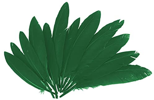 INNSPIRO Plumas indio verde Aprox. 25mmx140mm. 60u., ideal para manualidades con niños, decoraciones y actividades creativas