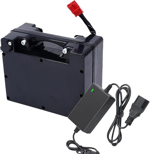 ZHANGshouf Batterie de Fauteuil Roulant électrique 24 V 15 Ah, 18 Ah, 20 Ah, 25 Ah, 30 Ah, 40 Ah, 50 Ah, 60 Ah, Batterie au Lithium de Remplacement 24 V avec Chargeur pour Moteur 0-1 500 W