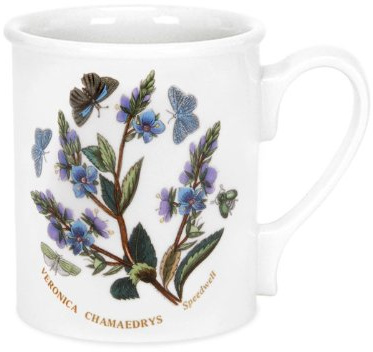 Portmeirion Botanic Garden - Breakfast Mug - Speedwell