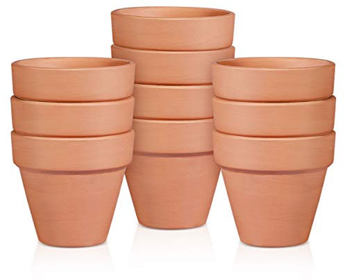 BESTonZON Vase en terre cuite en terre cuite, lot de 10 – Mini pot de plantes vivaio de Perméable Allacqua Succulente Cactus Vase en céramique DIY Te Home Office Desktop