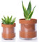 Phoenix Vine 52-A-G-46 Pot de fleurs en terre cuite avec réservoir en verre pour plantes d'intérieur, herbes, fleurs, 10,2 cm, 15,2 cm