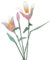 Famiredo Kit de fleurs de lys pour adultes, ensemble de bouquets de fleurs artificielles, mini briques de construction pour cadeaux/décoration d'intérieur, collection botanique (rose)