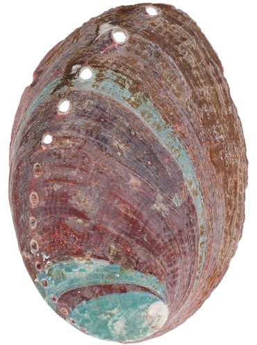 Amosfun Coquille D'ormeau Purification, Bol en Coquille D'ormeau, Support de Parfum Décoratif pour Aquarium et Maison, Multi-Usage