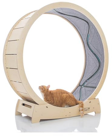 STAR CATWHEEL Laufband für Katzen, Laufrad zum Laufen, Drehen, Kratzen und Klettern für Hauskatzen, hochwertiges Birkenholz, umweltfreundlich, beweglicher Fisch, breite Laufbahn, 119,4 cm, XL-Größe
